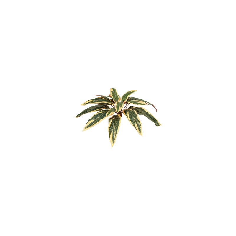Caladium - kunstplant