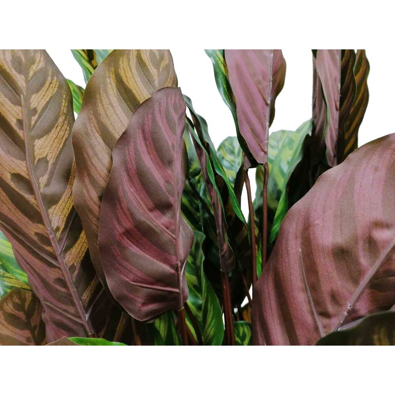 Calathea Makoyana bush - kunstplant