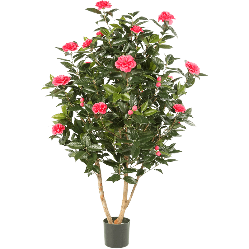 Camelia Japonica roze - kunstplant
