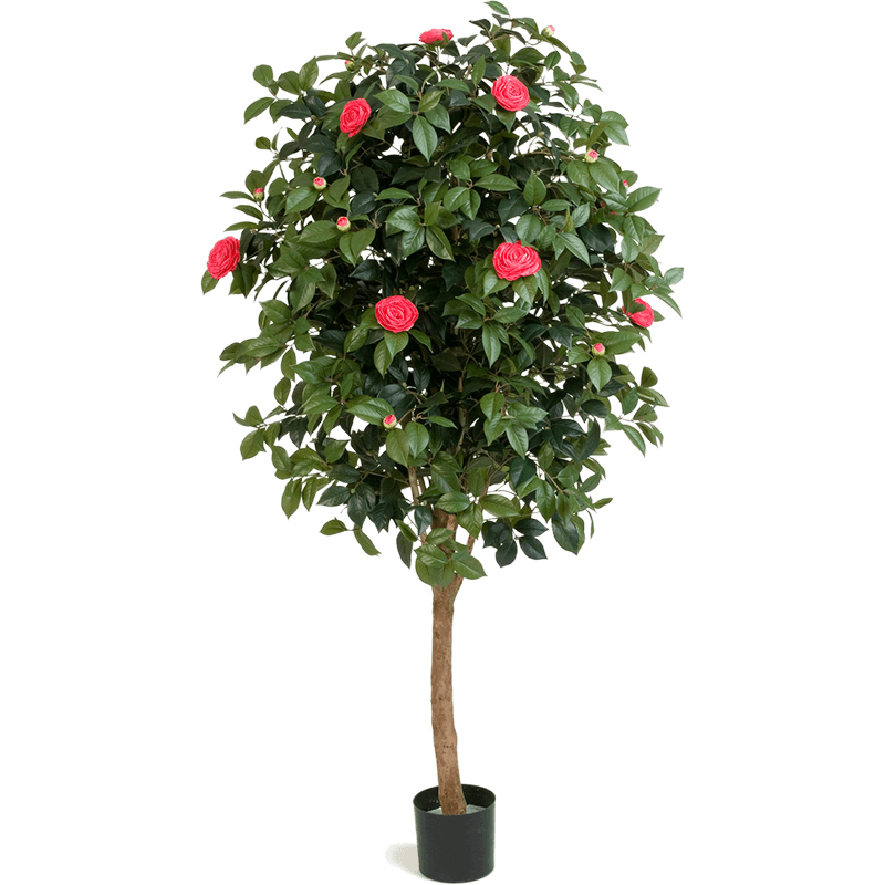 Camelia Vine - kunstplant