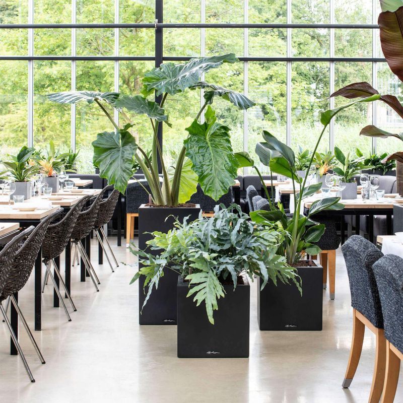 Canto Square Zwart