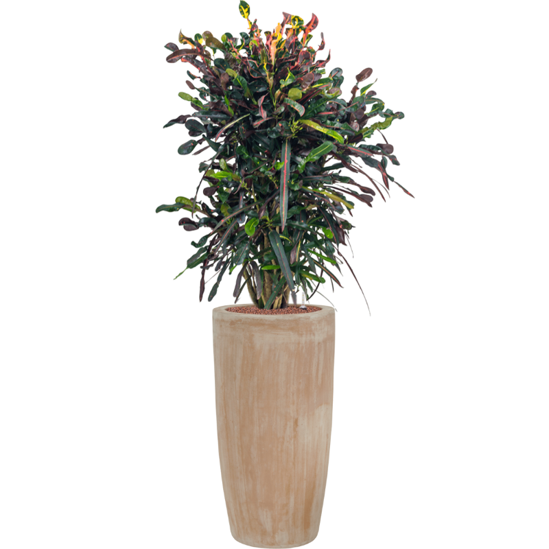 Terracotta Partner