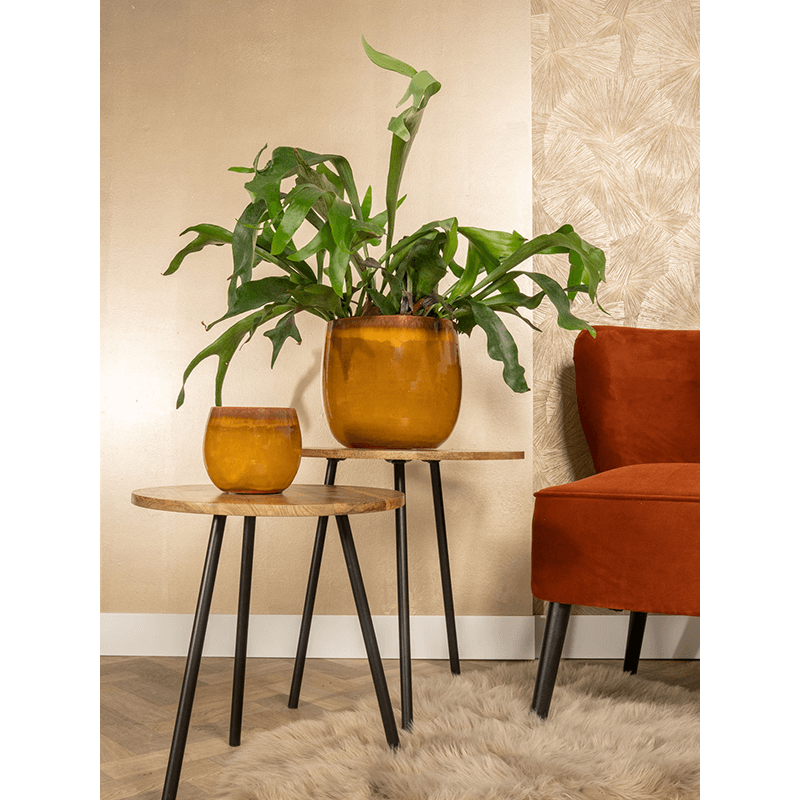 Charlotte Ochre