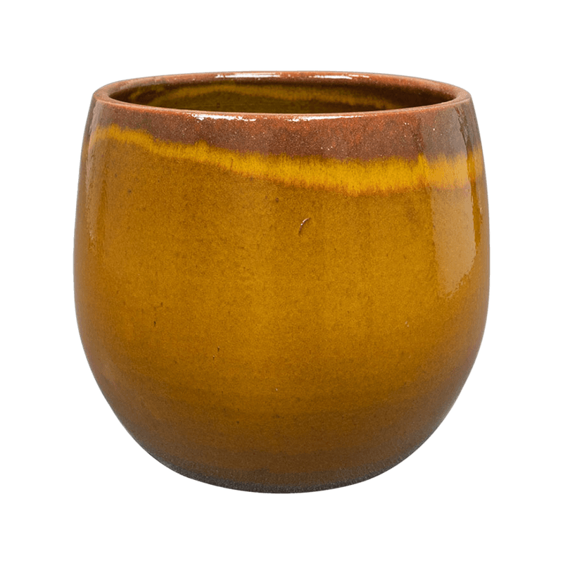 Charlotte Ochre