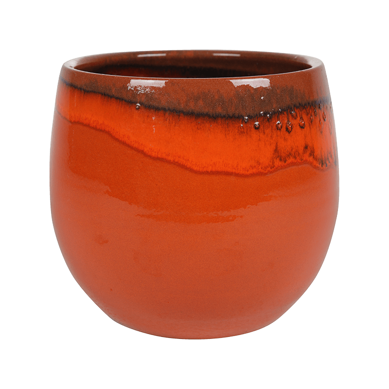 Charlotte Orange