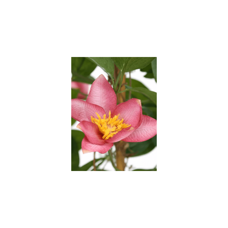 Clematis op rek - kunstplant