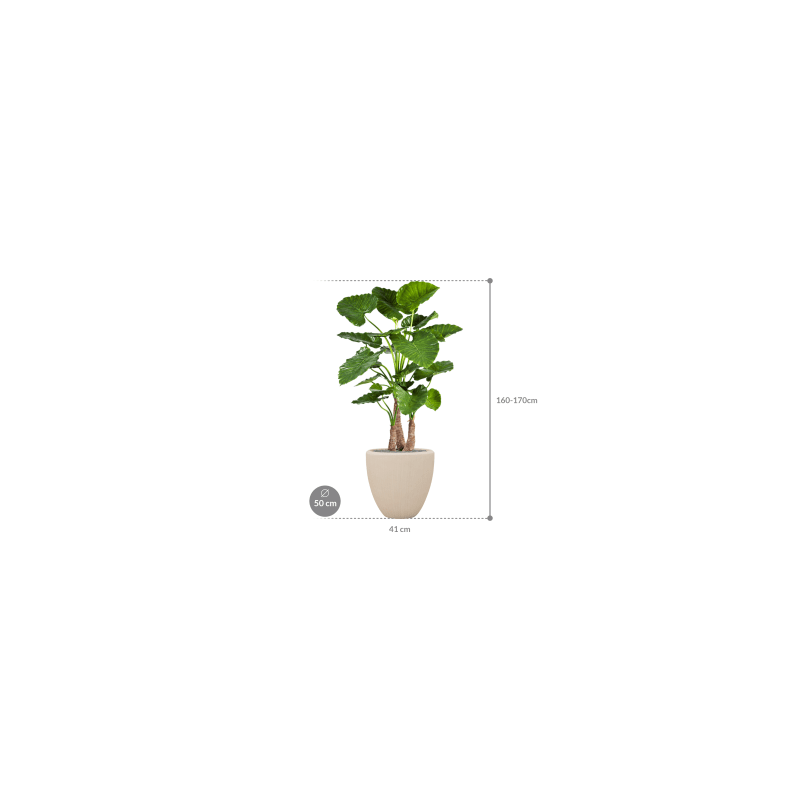 Alocasia Calidora in Polystone Couple Crème - kunstplant