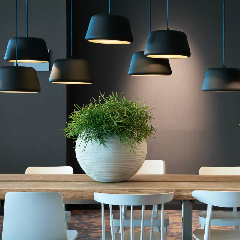 Curved Globe White