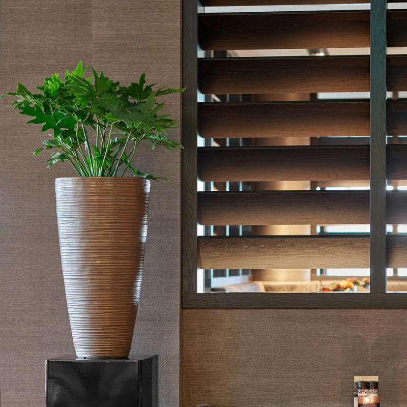 Curved Partner Bronze