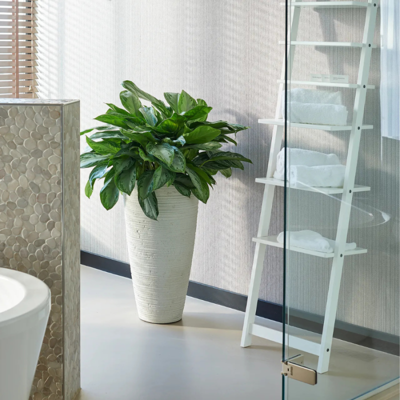 Curved Partner White