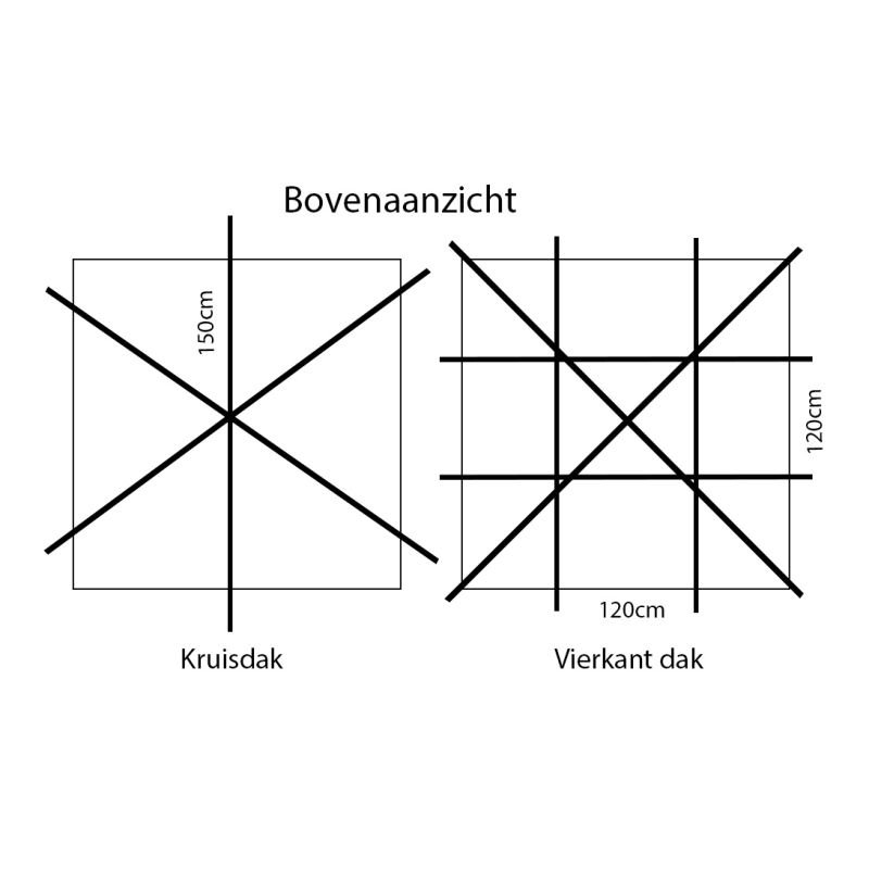 Morus Fruitless - vierkant dak