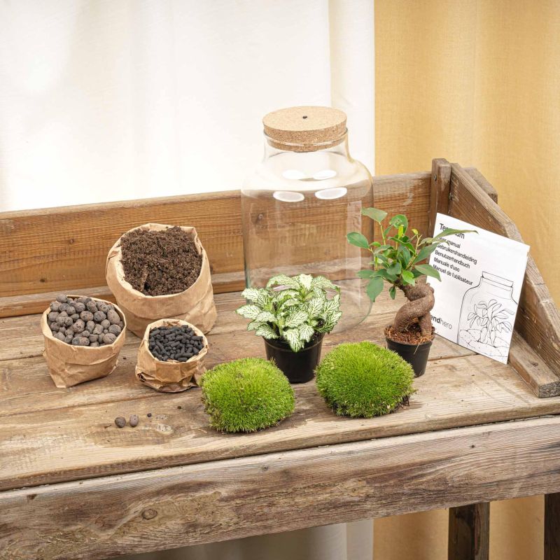 DIY Terrarium Bonsai met LED