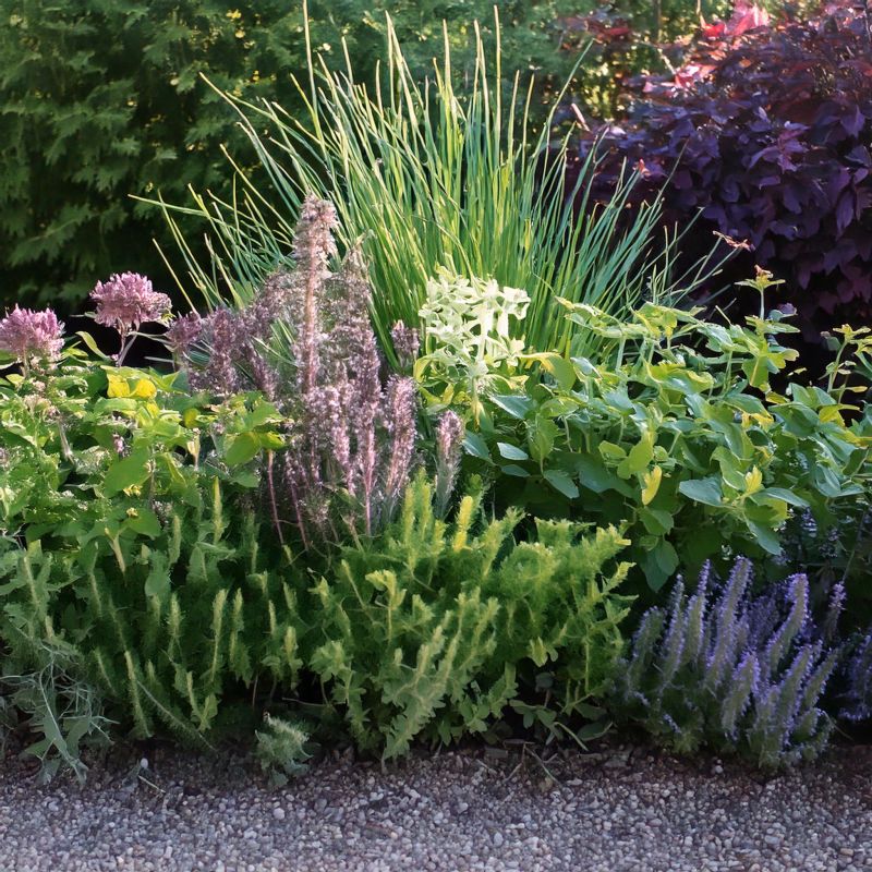 Borderpakket eetbare border 3 m2