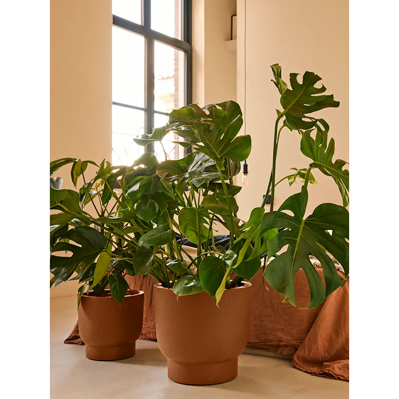 Elho Premium Amber Grail Karamel