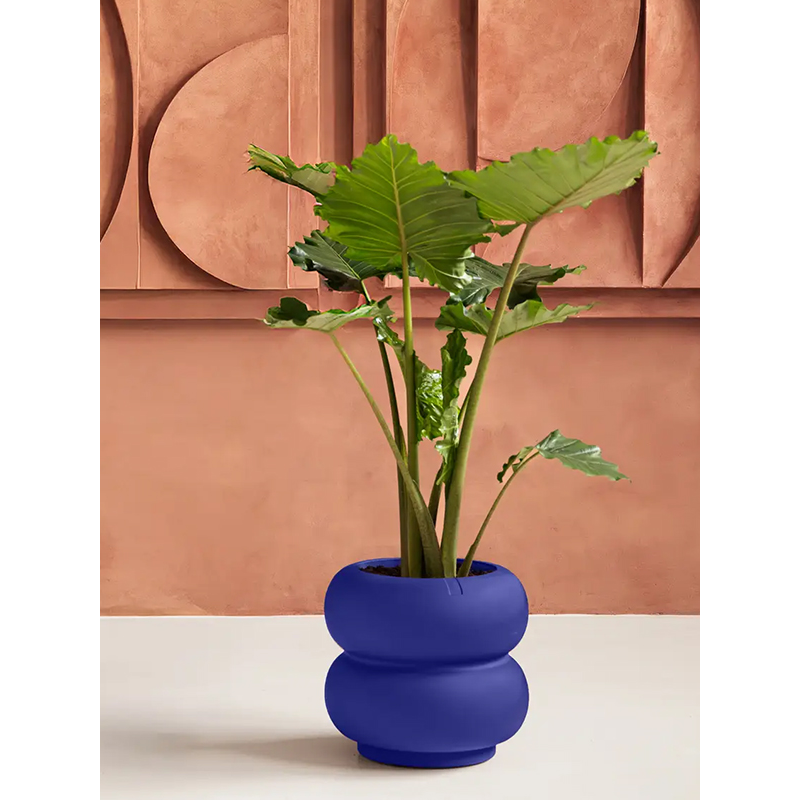 Elho Premium Amber Roll Low Royal Blue