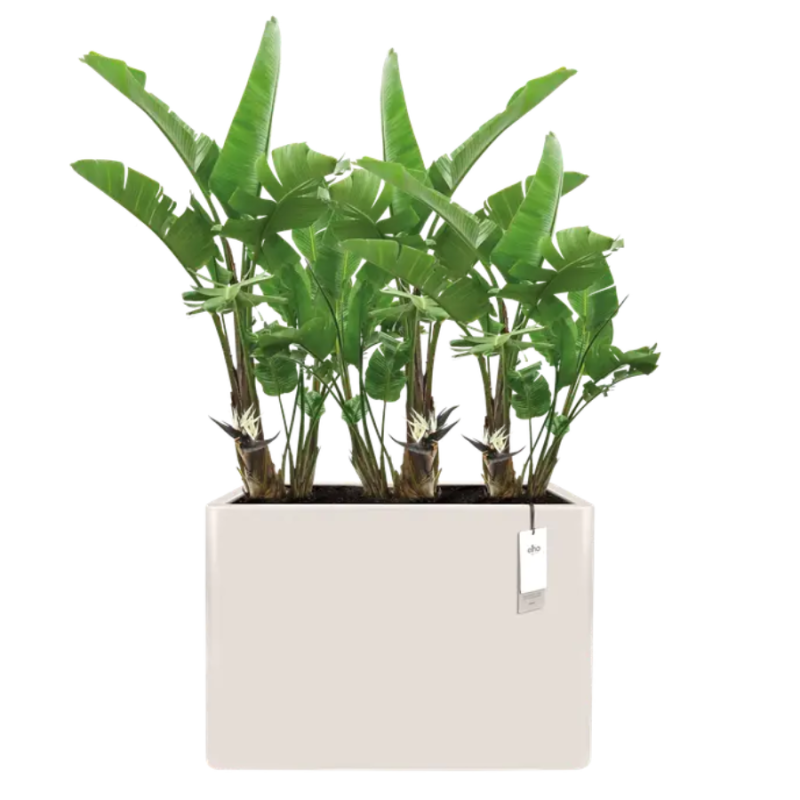 Elho June Brick Divider Linnen Wit