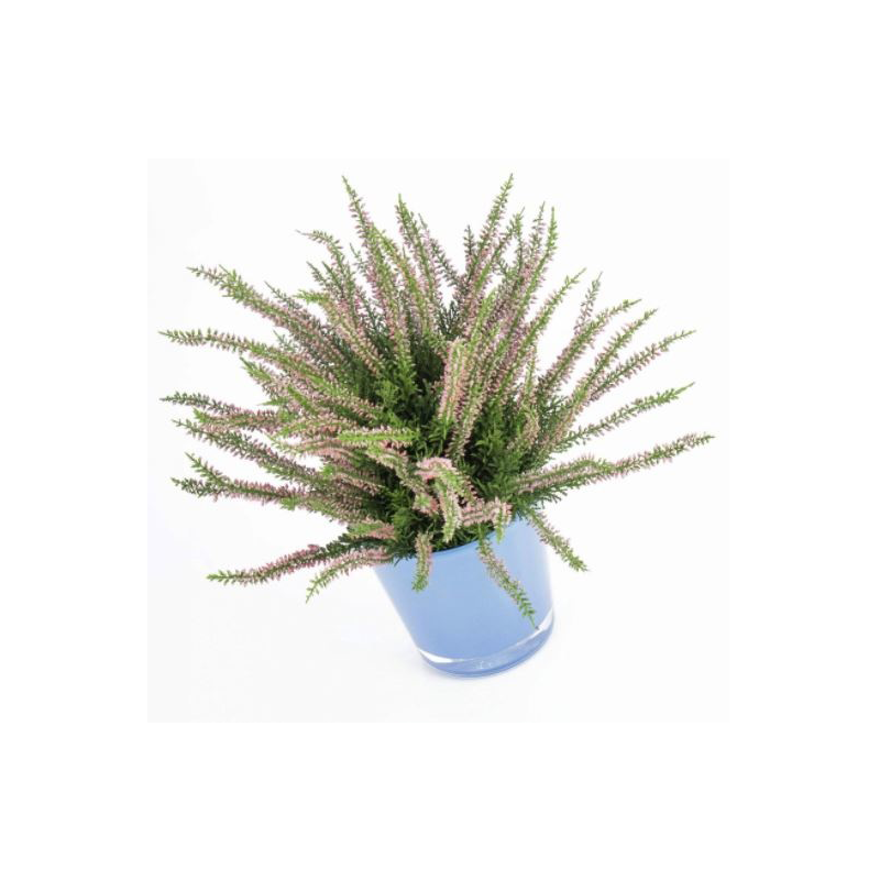 Erica Bush - kunstplant