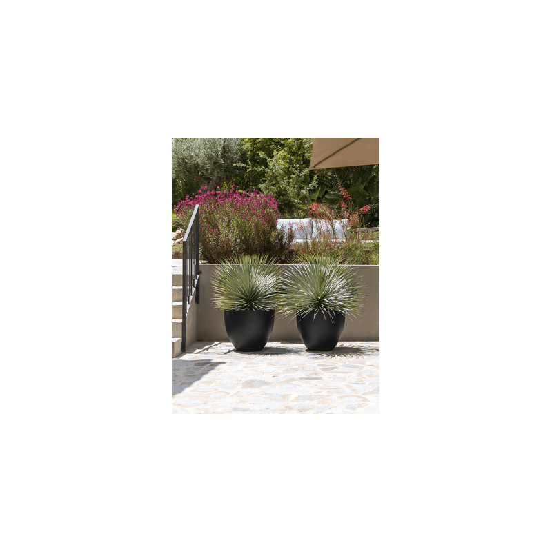 Fiberstone Jesslyn Zwart