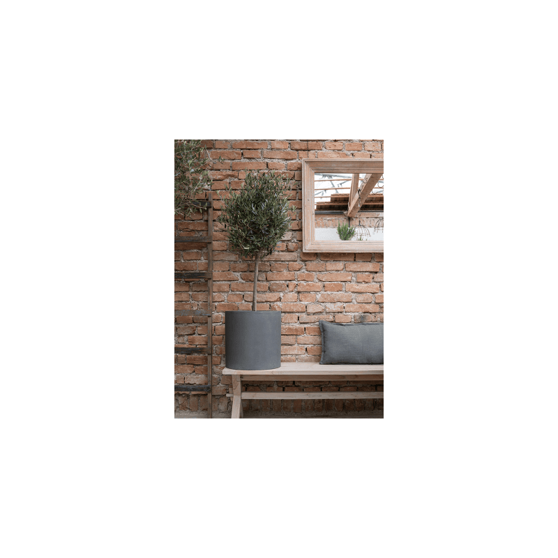Fiberstone Max Zwart