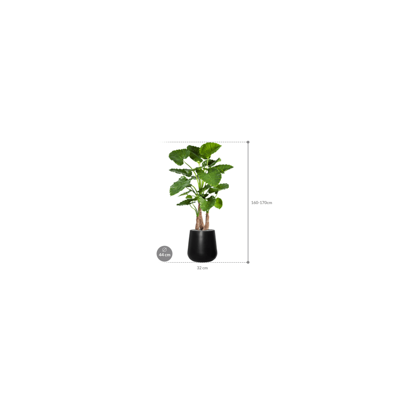 Alocasia Calidora in Fiberstone Pax Zwart - kunstplant