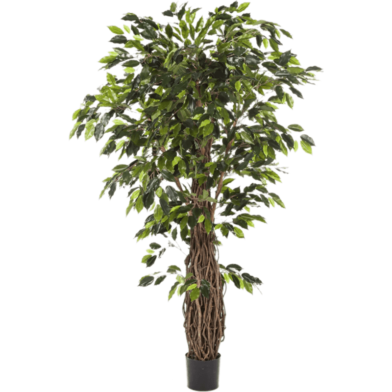 Ficus Liana XXL - kunstplant