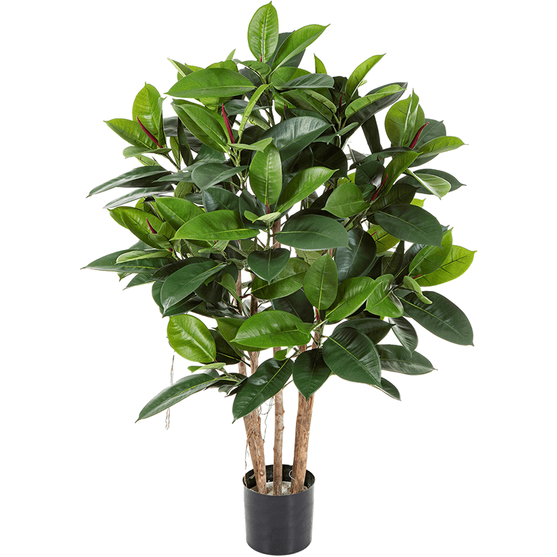 Ficus elastica vertakt - kunstplant