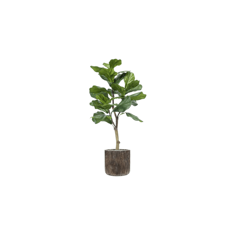Ficus lyrata in Luxe Lite Universe Waterfall Cilinder - kunstplant