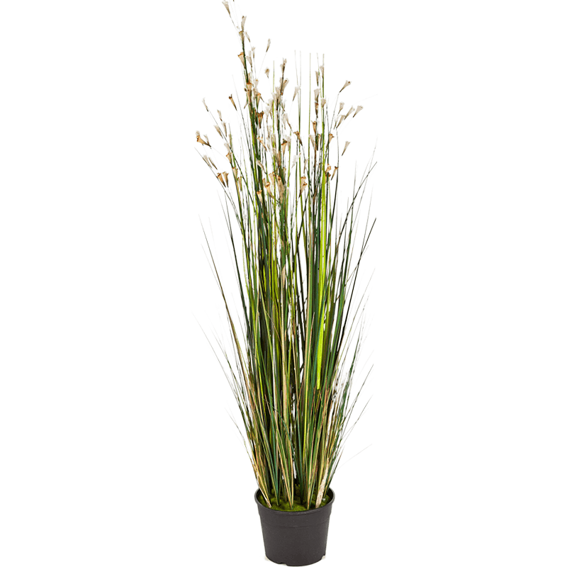 Koraalgras cream - kunstplant
