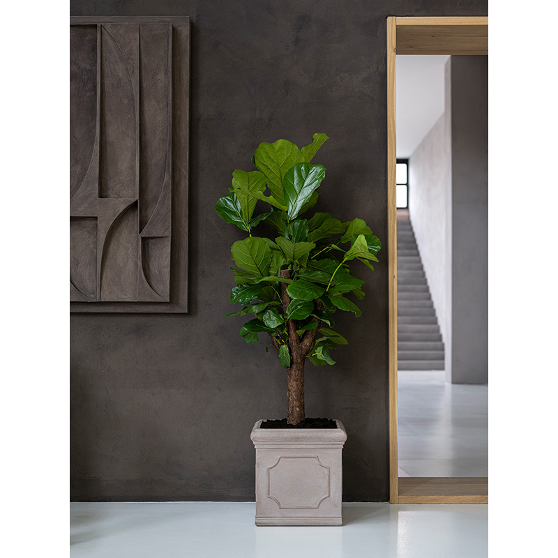 Heritage Jumbo Block Taupe