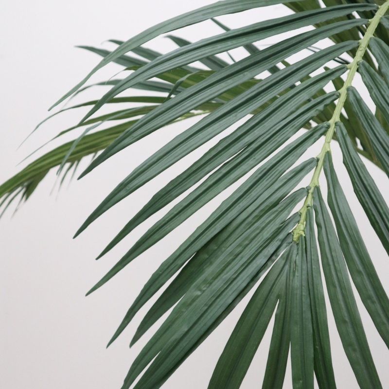 Kentia Howea - kunstplant