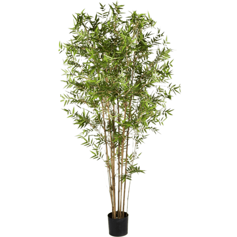 Bamboe Japanese Oriental - kunstplant