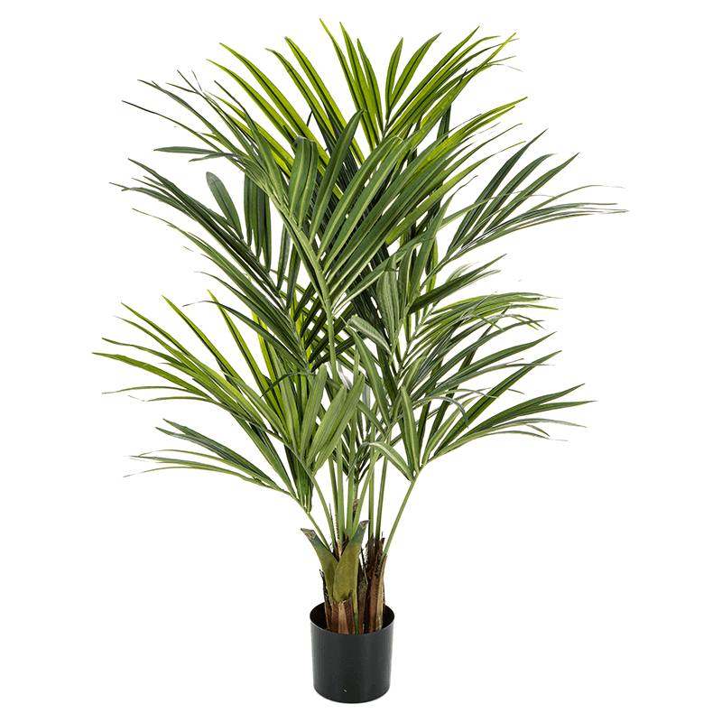 Kentia Howea - kunstplant