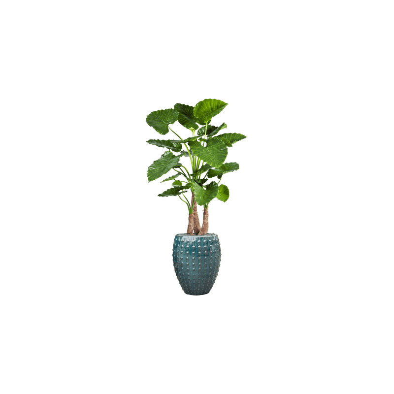 Alocasia Calidora in Laos Emperor Blauw - kunstplant