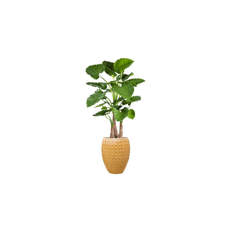 Alocasia Calidora in Laos Emperor Geel - kunstplant
