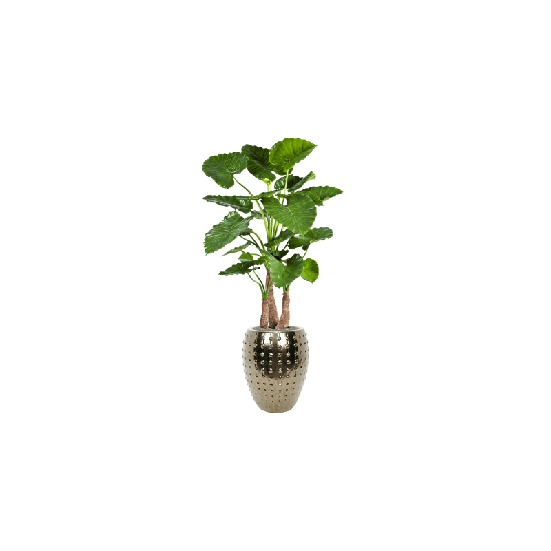 Alocasia Calidora in Laos Emperor Goud - kunstplant