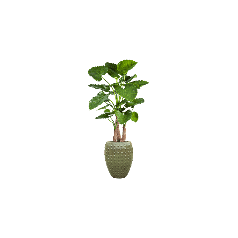 Alocasia Calidora in Laos Emperor Groen - kunstplant