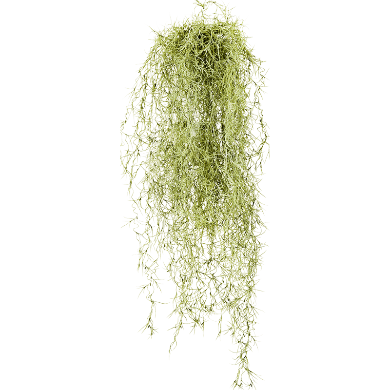 Tillandsia geel - kunstplant