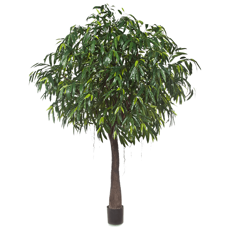 Ficus longifolia op stam XXL - kunstplant