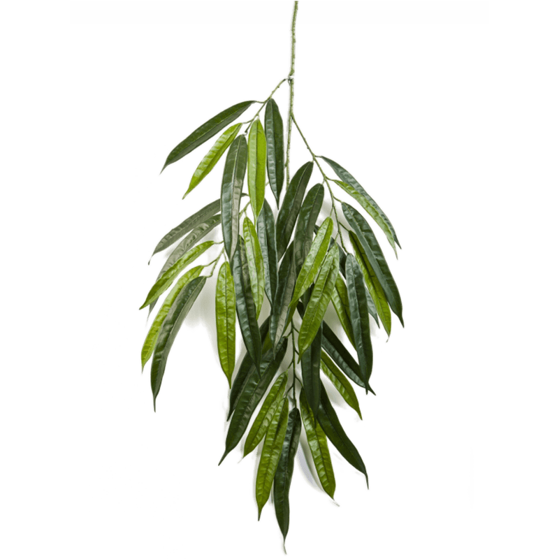 Ficus longifolia tak - kunstplant