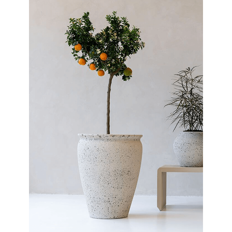 Mediterranean Artemis Krijt Wit