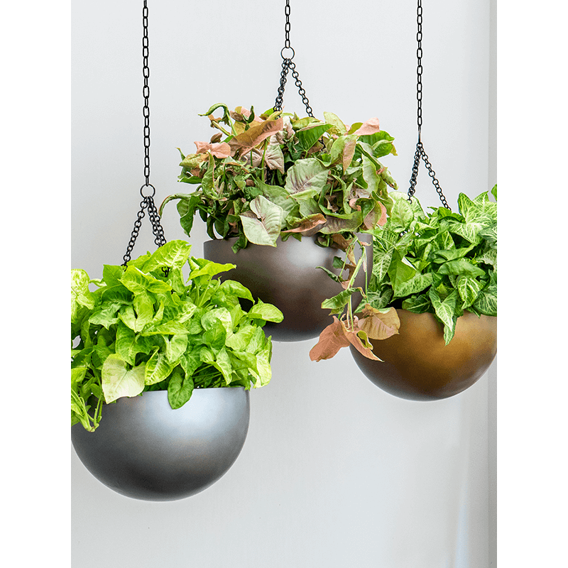 Metallic Bowl Hanger Grey