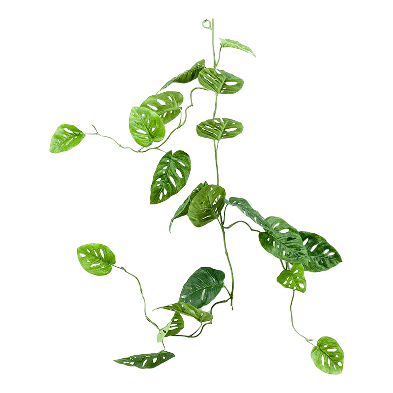 Monstera adansonii blad - kunstplant