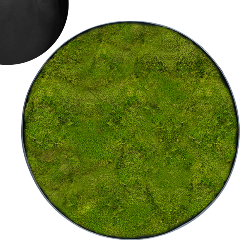 Mosschilderij Rond 100% Platmos Antraciet