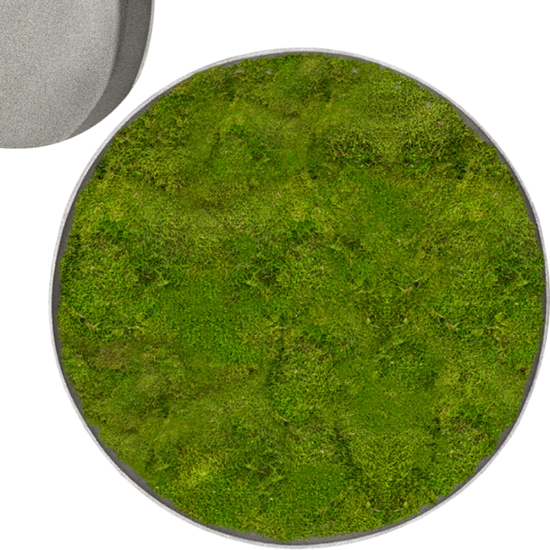 Mosschilderij Rond 100% Platmos Natural