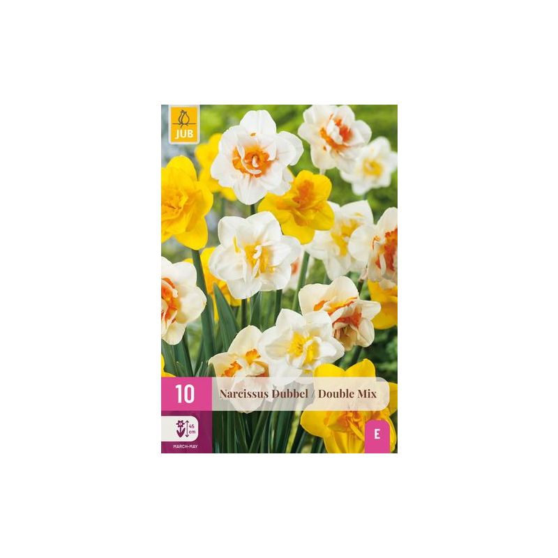 Narcissus Dubbel Mix - 10 stuks