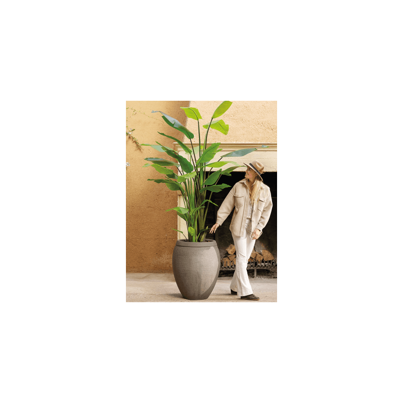 Strelitzia XL - kunstplant 