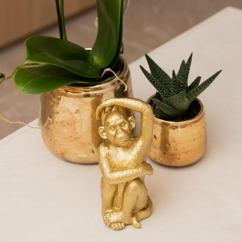 Orchidee wit in Luxury goud