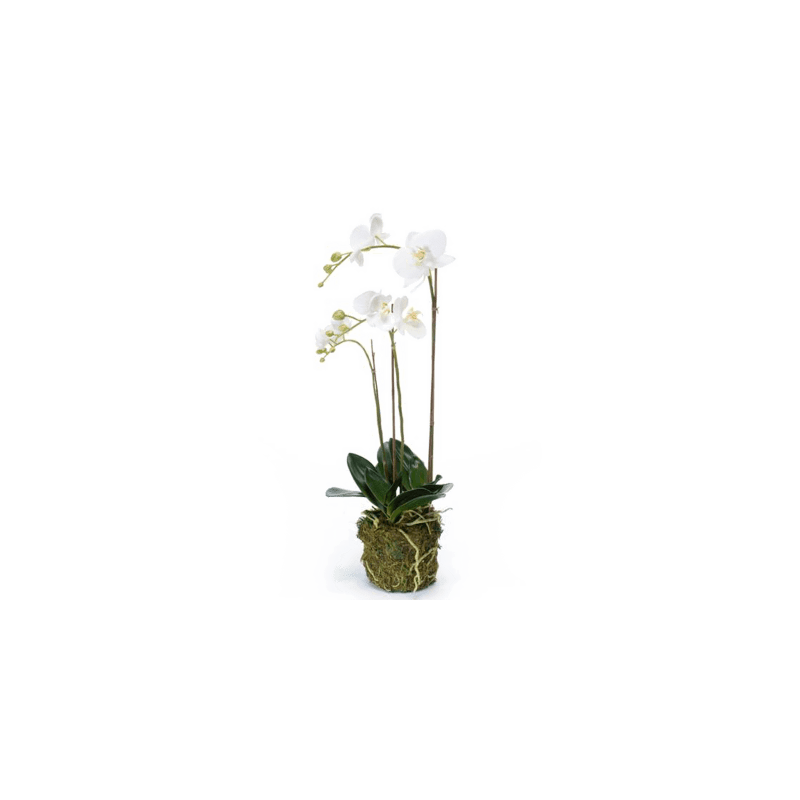 Orchidee mos wit - kunstplant