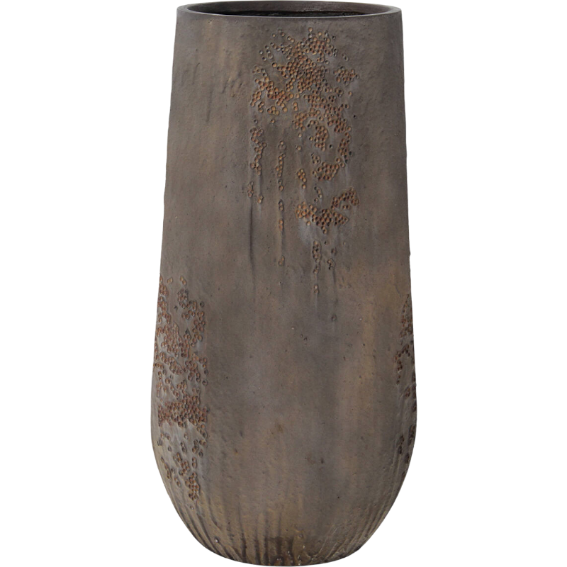 Oyster Nax Bruin