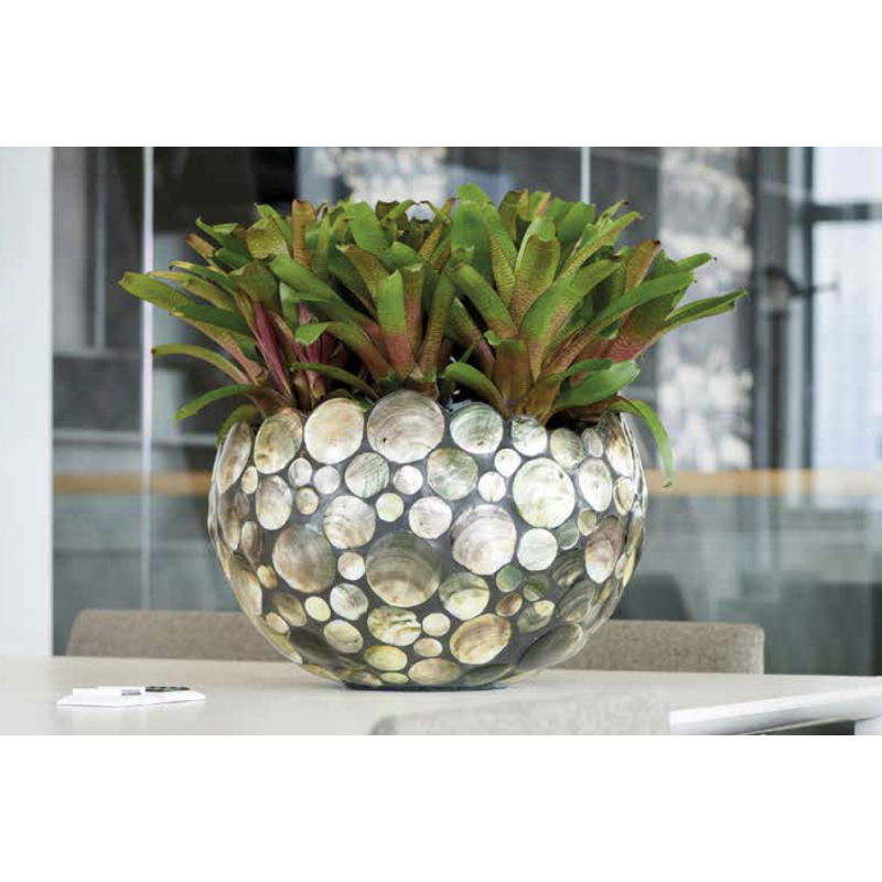 Pinctada Bowl